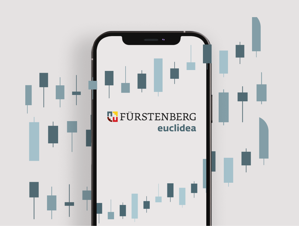 Schermata dell'area privata Euclidea con l'andamento del patrimonio: investimento multilinea e portafoglio personalizzato. Gestione patrimoniale con Euclidea.
